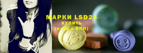 ECSTASY Богородицк