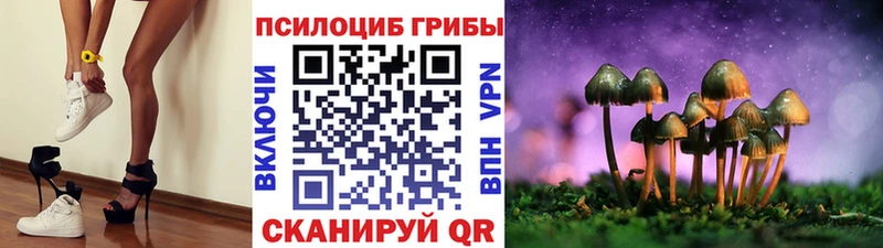 Псилоцибиновые грибы MAGIC MUSHROOMS  цены   Нефтекумск 